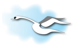 The SWAN Model