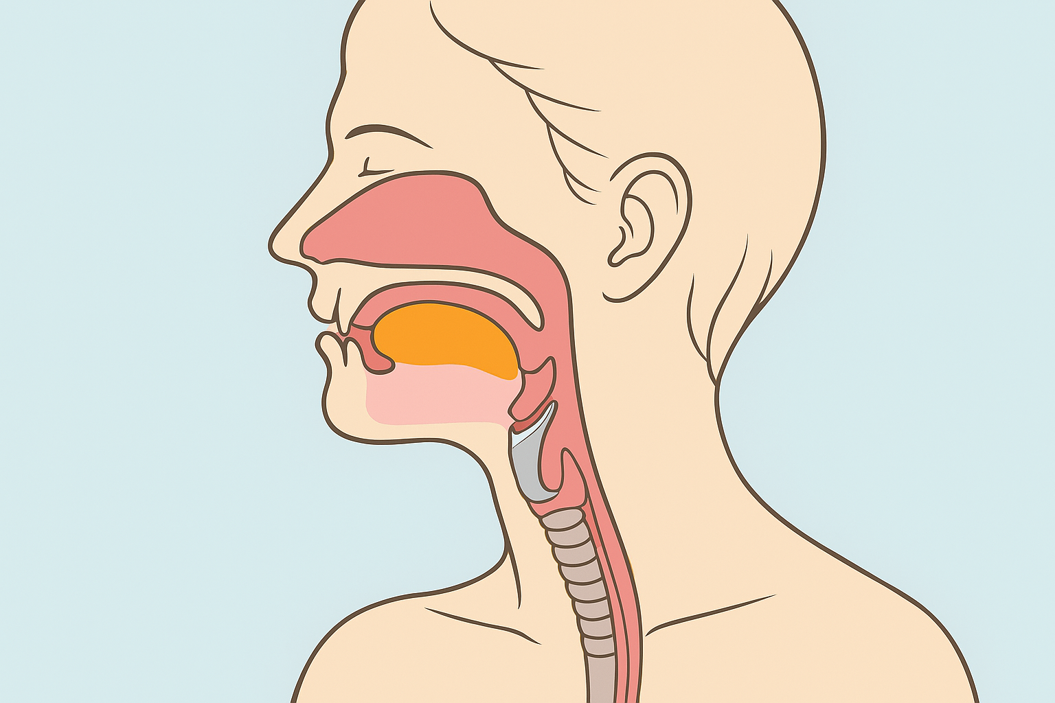 Dysphagia (South) Delivered by MPFT